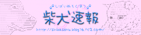 shibainu_sokuhou_logo.png