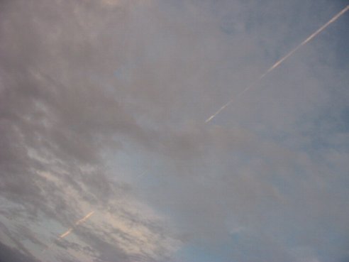 早朝見た飛行機雲