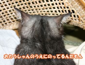 お気に入りの場所はどこ？090911d
