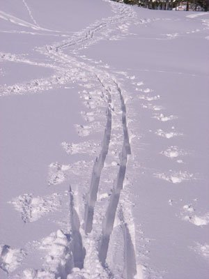 スキーの跡