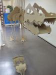 理大祭（久喜キャンパス）恐竜の骨格標本ダンボールオブジェ　別角度から