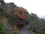 栃木県・太平山の紅葉（2010年11月13日）