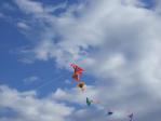 強風のなかを連凧で遊ぶ。