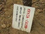 佐野市運動公園のローラーすべり台付近ではスズメバチやヘビに注意！
