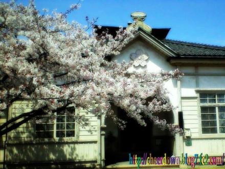 倉敷市歴史民族資料館 2010年春。