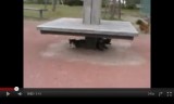 【犬動画】　メタボ犬、戦う負け犬vsネコ家族の巻