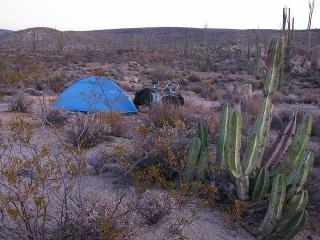 6いくつかの砂漠でキャンプをし