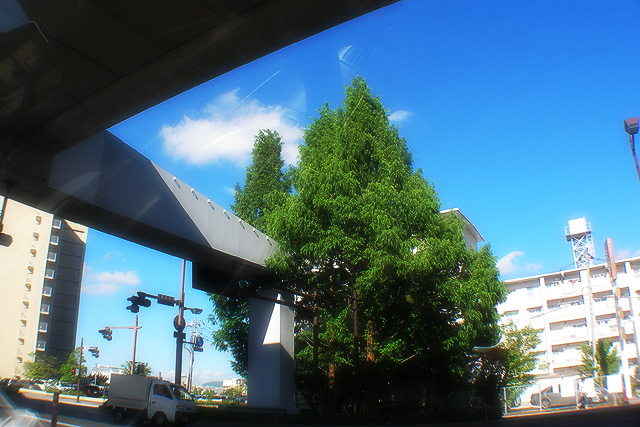 高架と空と樹