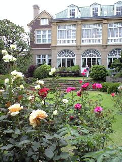 鳩山会館　庭園の薔薇