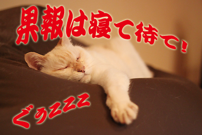 夢のため