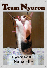 Nyoron065奈々ちゃん