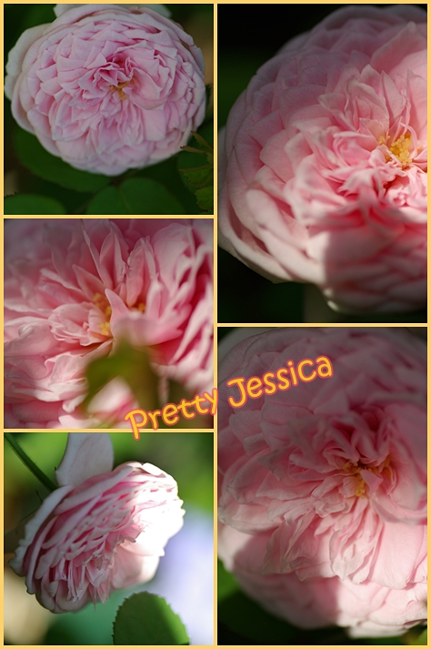 Pretty Jessica23 fc2