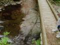 20090505九頭龍滝鼓動