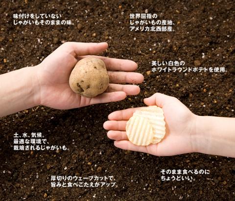 potato_new_img02.jpg