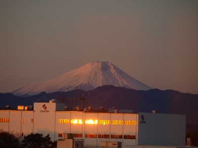 元旦は排気ガスなどの影響もなくて一年で一番美しい富士山が観られます