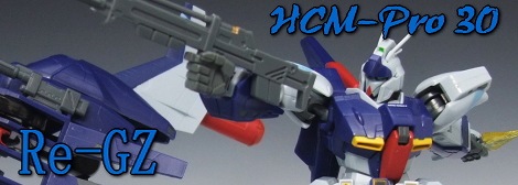 HCM-Pro リガズィ　レビュー