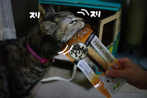 はなサービスデー02