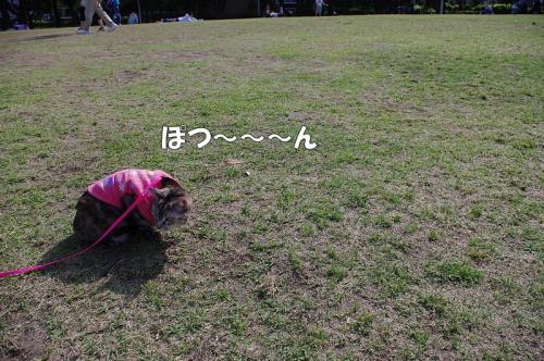 はなと横浜散歩・前編07