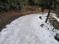 雪の残る城山遊歩道