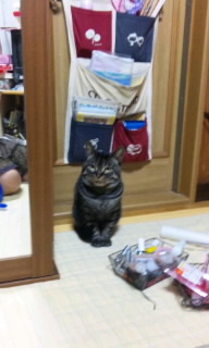 20110511220112.jpg