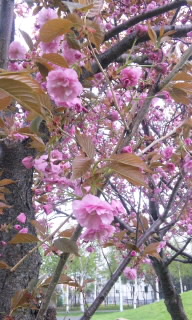 20110520204423.jpg