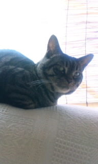 20110817132608.jpg
