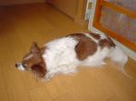 20070101124411.jpg