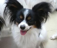 20070323155451.jpg