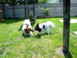 20070727093309.jpg
