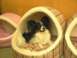 20080318 042ktr