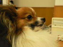 P1430134rmdkn2.jpg