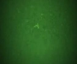 暗視鏡を使って撮影された夜空を飛行する謎の飛行物体