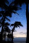 ハワイ島の青い夜景3
