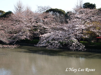 201003270003.jpg
