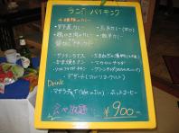 060514_Shakti2.jpg