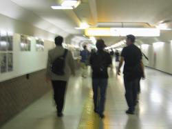 060909_LittleKoiwai5.jpg