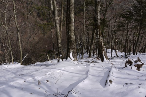 P1030780.jpg