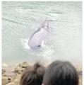 田辺　クジラ